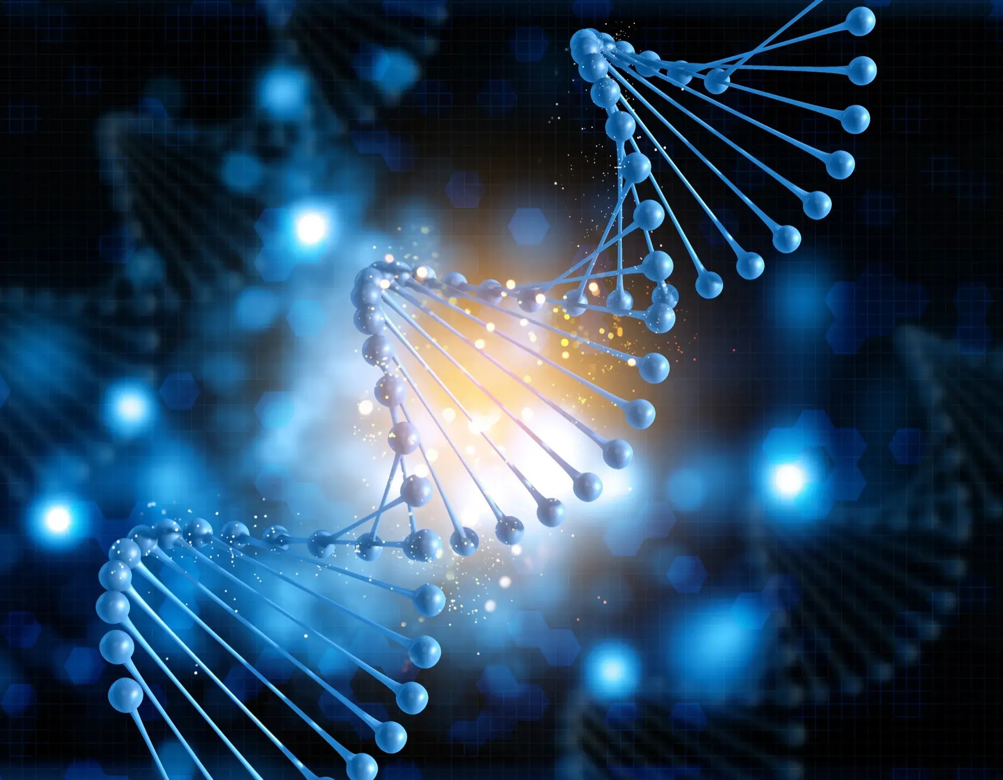How Stem Cell Transplantation is Rewriting the Rules of Recovery